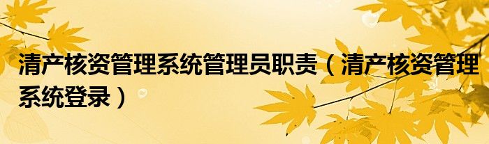 清产核资管理系统管理员职责(清产核资管理系统登录)