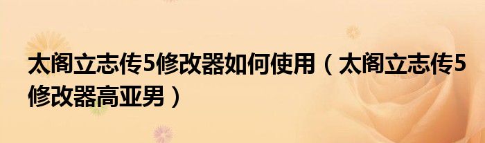 太阁立志传5修改器如何使用(太阁立志传5修改器高亚男)