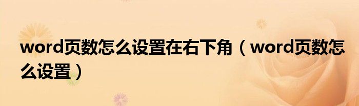 word页数怎么设置在右下角(word页数怎么设置)