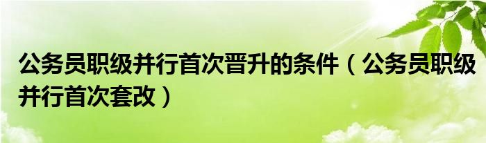 公务员职级并行首次晋升的条件(公务员职级并行首次套改)