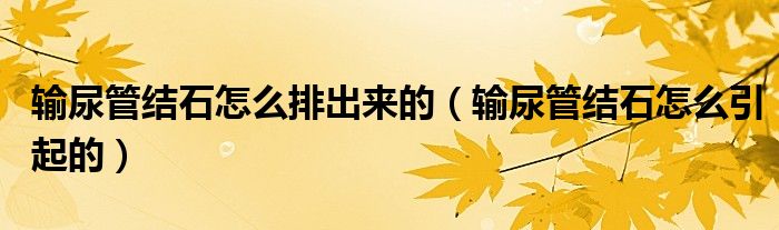 输尿管结石怎么排出来的(输尿管结石怎么引起的)