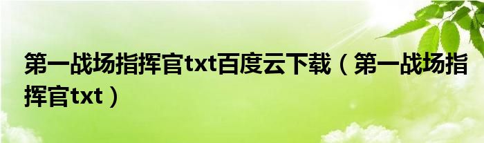 第一战场指挥官txt百度云下载(第一战场指挥官txt)