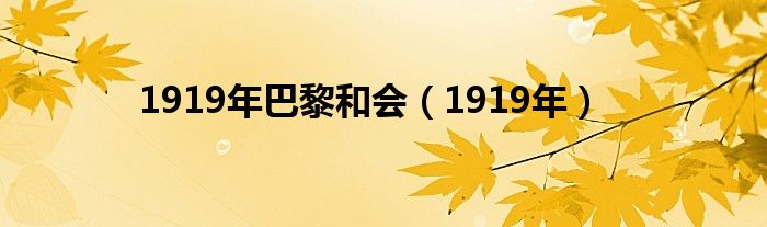 1919年巴黎和会(1919年)