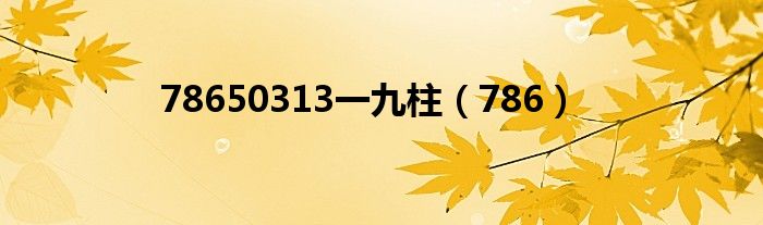 78650313一九柱(786)