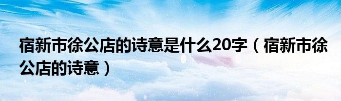 宿新市徐公店的诗意是什么20字(宿新市徐公店的诗意)