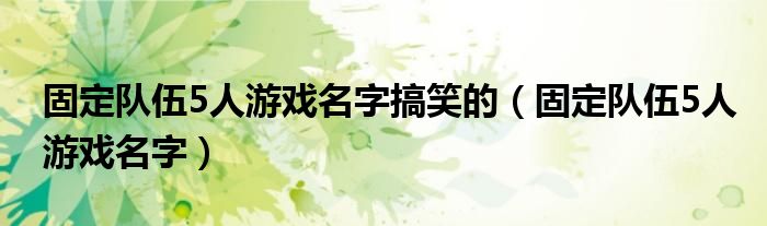 固定队伍5人游戏名字搞笑的(固定队伍5人游戏名字)