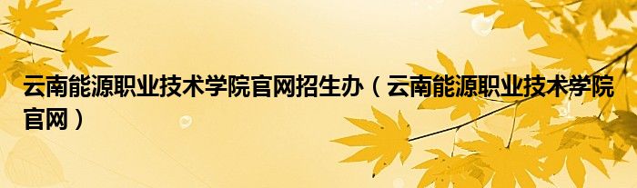 云南能源职业技术学院官网招生办（云南能源职业技术学院官网）