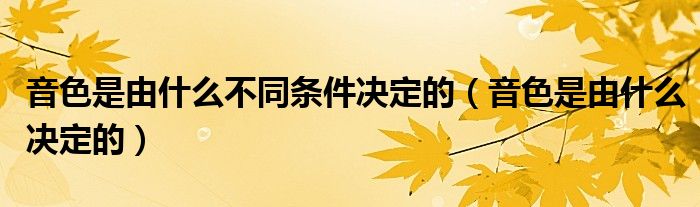 音色是由什么不同条件决定的(音色是由什么决定的)