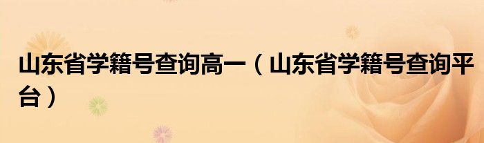 山东省学籍号查询高一(山东省学籍号查询平台)