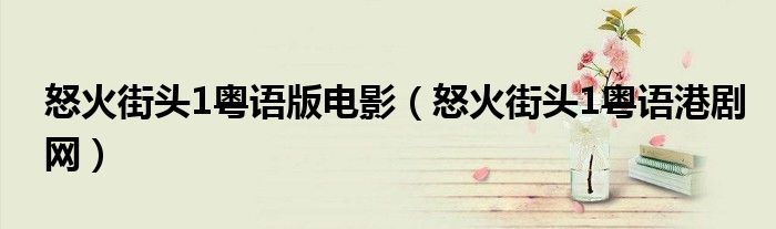 怒火街头1粤语版电影(怒火街头1粤语港剧网)