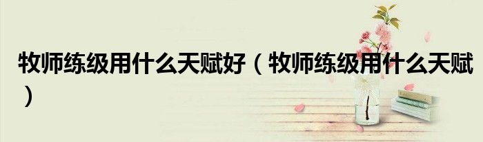 牧师练级用什么天赋好(牧师练级用什么天赋)