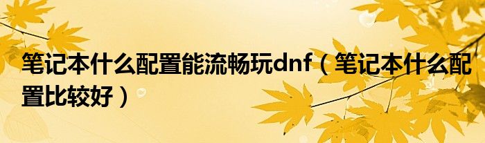 笔记本什么配置能流畅玩dnf(笔记本什么配置比较好)
