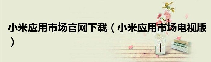 小米应用市场官网下载(小米应用市场电视版)