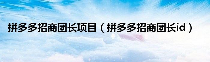 拼多多招商团长项目(拼多多招商团长id)