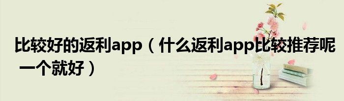 比较好的返利app(什么返利app比较推荐呢 一个就好)