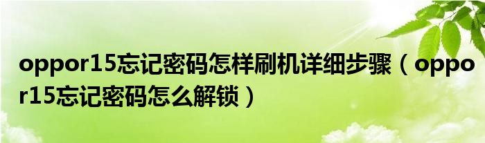 oppor15忘记密码怎样刷机详细步骤(oppor15忘记密码怎么解锁)