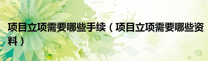 项目立项需要哪些手续(项目立项需要哪些资料)