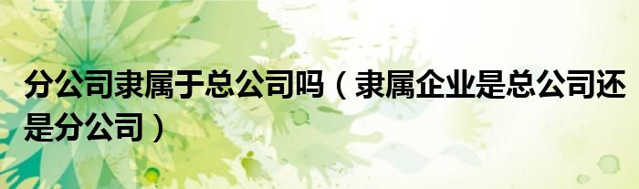 分公司隶属于总公司吗(隶属企业是总公司还是分公司)
