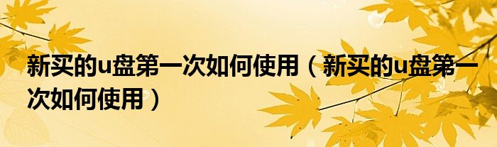 新买的u盘第一次如何使用(新买的u盘第一次如何使用)