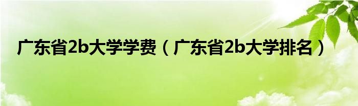 广东省2b大学学费(广东省2b大学排名)