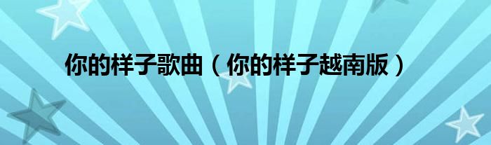 你的样子歌曲(你的样子越南版)