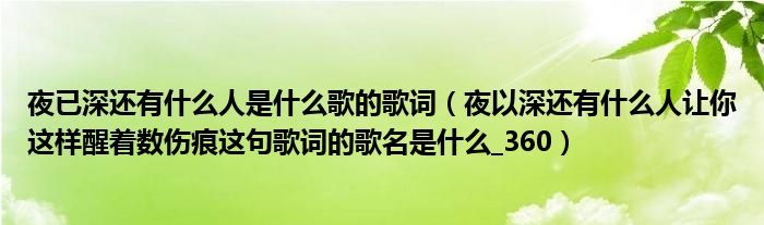 夜已深还有什么人是什么歌的歌词(夜以深还有什么人让你这样醒着数伤痕这句歌词的歌名是什么_360)
