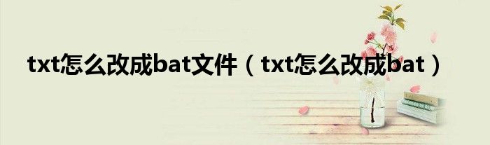 txt怎么改成bat文件(txt怎么改成bat)