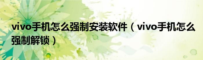 vivo手机怎么强制安装软件(vivo手机怎么强制解锁)