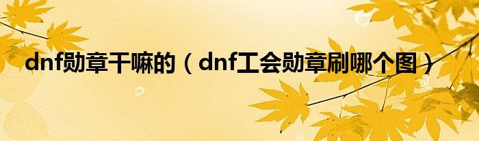 dnf勋章干嘛的（dnf工会勋章刷哪个图）