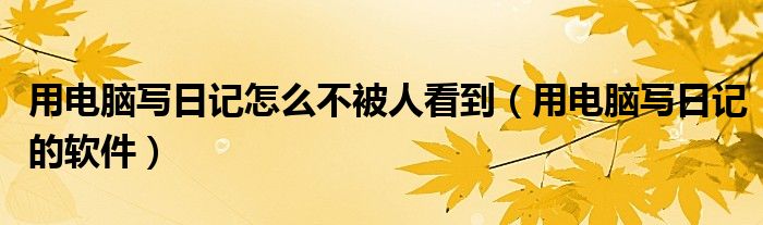 用电脑写日记怎么不被人看到(用电脑写日记的软件)