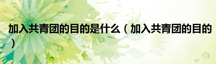 加入共青团的目的是什么(加入共青团的目的)