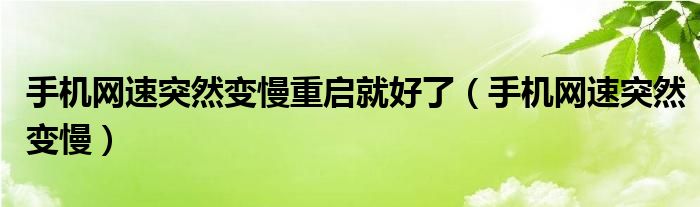 手机网速突然变慢重启就好了(手机网速突然变慢)