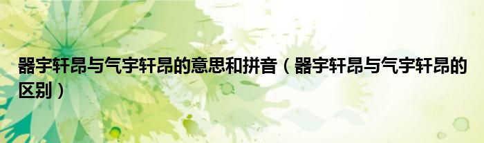 器宇轩昂与气宇轩昂的意思和拼音(器宇轩昂与气宇轩昂的区别)