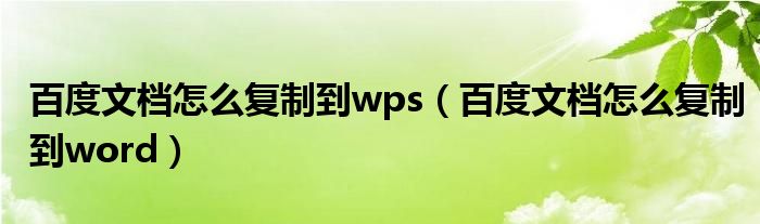 百度文档怎么复制到wps(百度文档怎么复制到word)