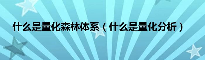 什么是量化森林体系(什么是量化分析)