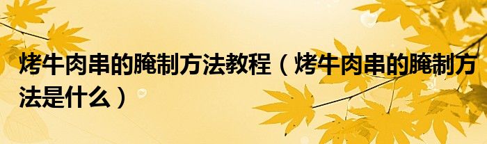 烤牛肉串的腌制方法教程(烤牛肉串的腌制方法是什么)