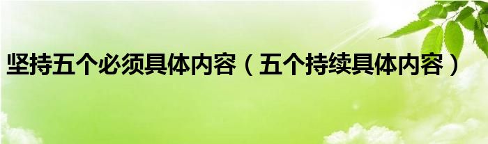 坚持五个必须具体内容(五个持续具体内容)