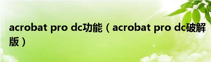 acrobat pro dc功能（acrobat pro dc破解版）