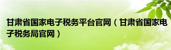 甘肃省国家电子税务平台官网(甘肃省国家电子税务局官网)