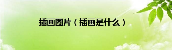 插画图片（插画是什么）