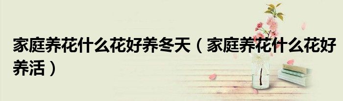 家庭养花什么花好养冬天(家庭养花什么花好养活)