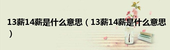 13薪14薪是什么意思(13薪14薪是什么意思)