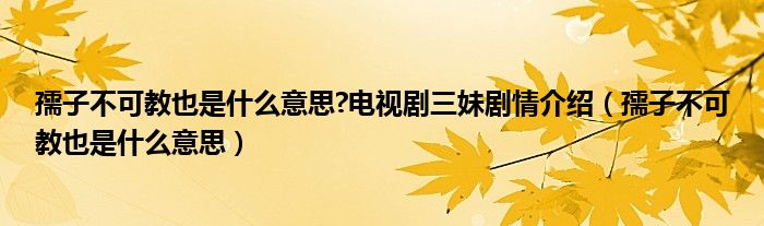 孺子不可教也是什么意思?电视剧三妹剧情介绍(孺子不可教也是什么意思)