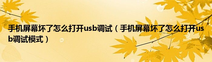 手机屏幕坏了怎么打开usb调试(手机屏幕坏了怎么打开usb调试模式)