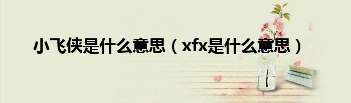 小飞侠是什么意思(xfx是什么意思)