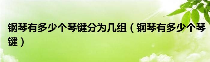 钢琴有多少个琴键分为几组(钢琴有多少个琴键)