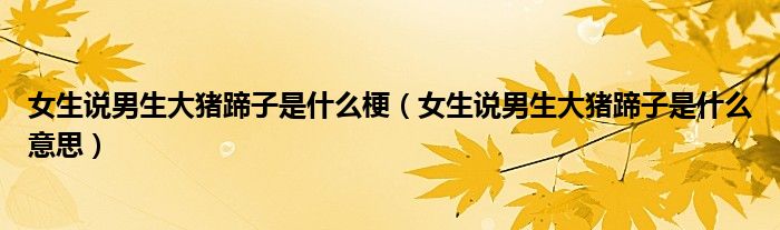 女生说男生大猪蹄子是什么梗(女生说男生大猪蹄子是什么意思)