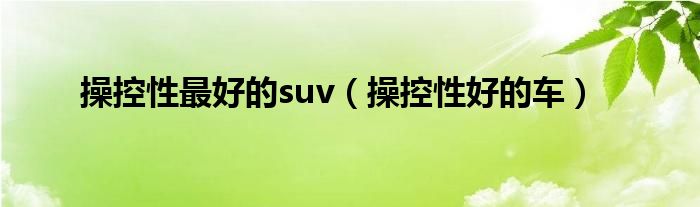 操控性最好的suv(操控性好的车)