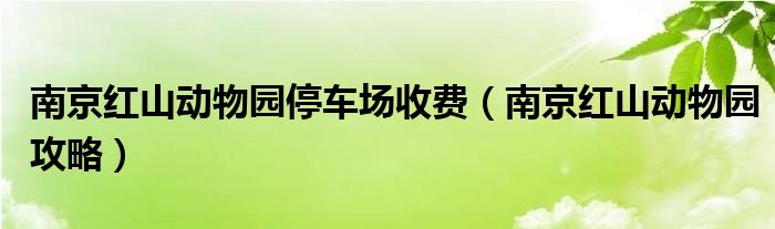 南京红山动物园停车场收费(南京红山动物园攻略)