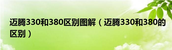 迈腾330和380区别图解(迈腾330和380的区别)